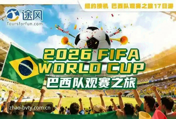 世界杯观赛签证难题解析：宝威体育平台球迷出行完整指南